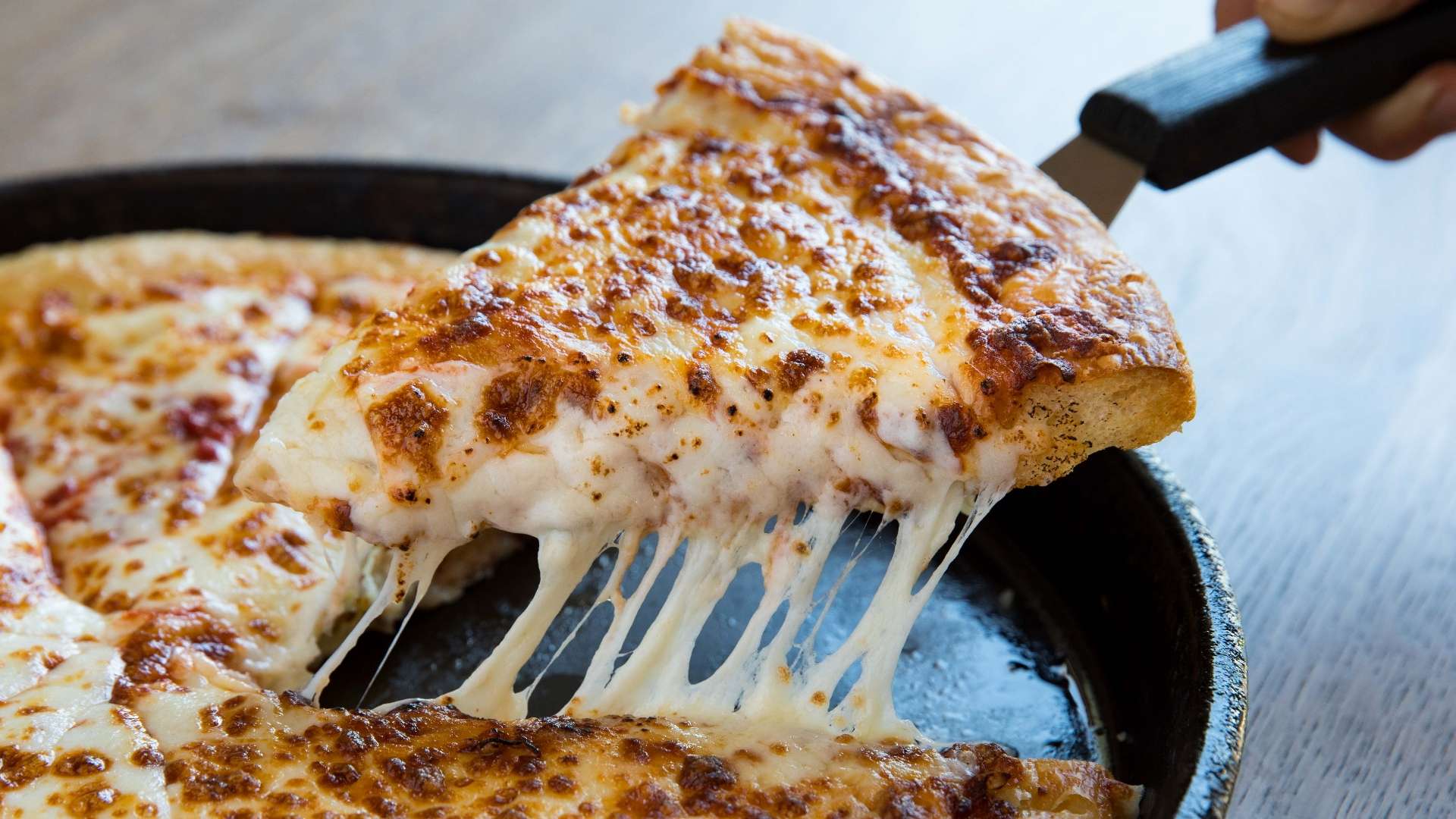 我们看到了 我们看到了