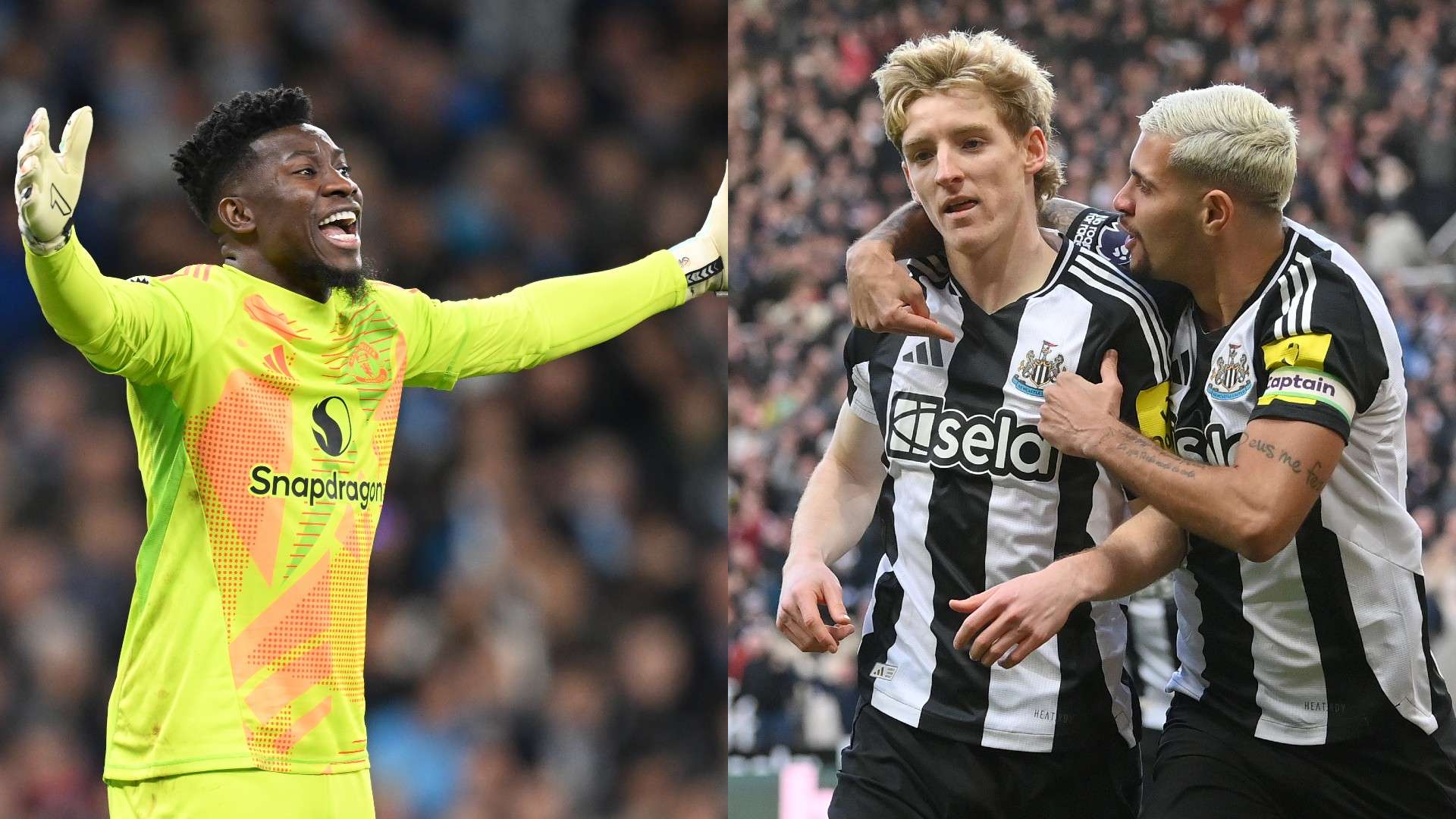 的心跳与期 的心跳与期